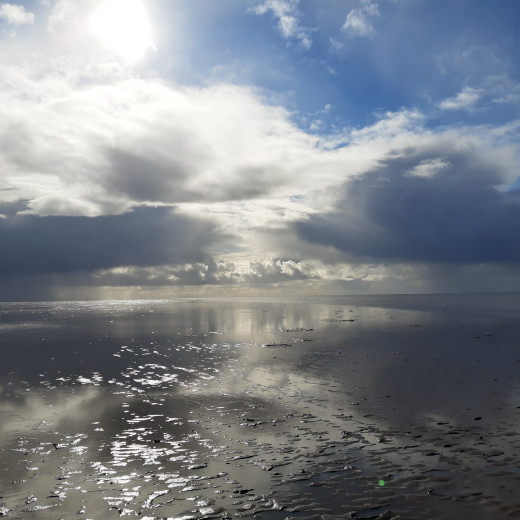 Discover the Wadden Sea